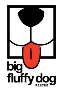 bfdr-logo-page-001